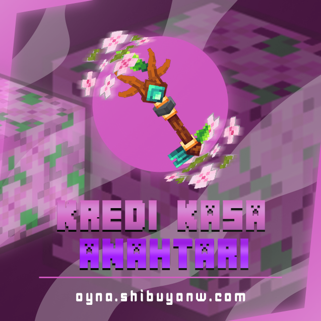 Kredi Kasa Anahtarı
