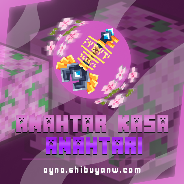 Anahtar Kasa Anahtarı