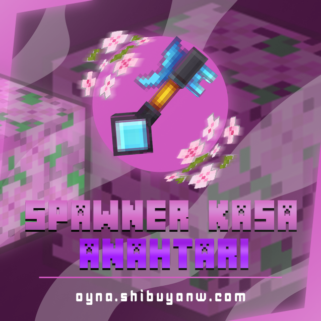 Spawner Kasa Anahtarı